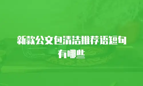 新款公文包清洁推荐语短句有哪些