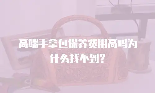 高端手拿包保养费用高吗为什么找不到？