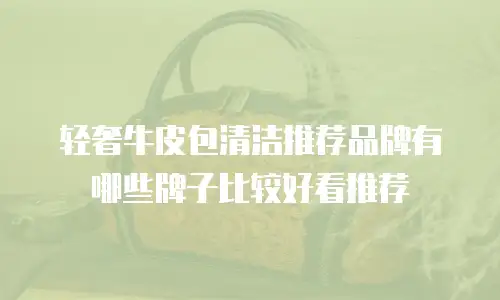 轻奢牛皮包清洁推荐品牌有哪些牌子比较好看推荐
