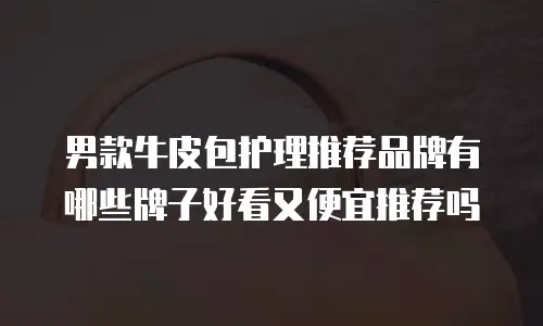 男款牛皮包护理推荐品牌有哪些牌子好看又便宜推荐吗