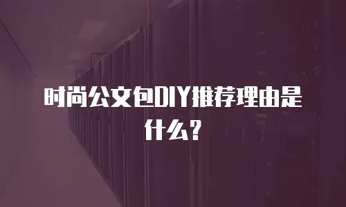 时尚公文包DIY推荐理由是什么？