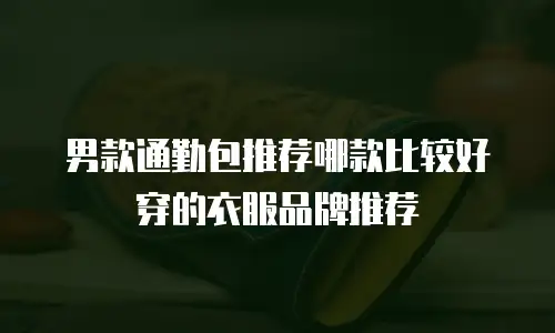男款通勤包推荐哪款比较好穿的衣服品牌推荐