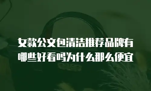 女款公文包清洁推荐品牌有哪些好看吗为什么那么便宜