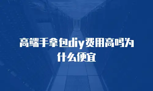 高端手拿包diy费用高吗为什么便宜