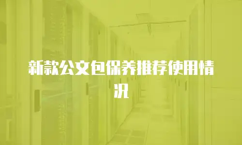 新款公文包保养推荐使用情况