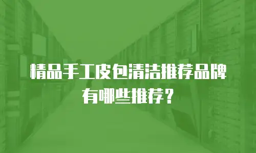 精品手工皮包清洁推荐品牌有哪些推荐？