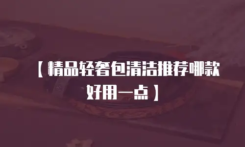【精品轻奢包清洁推荐哪款好用一点】