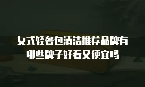 女式轻奢包清洁推荐品牌有哪些牌子好看又便宜吗
