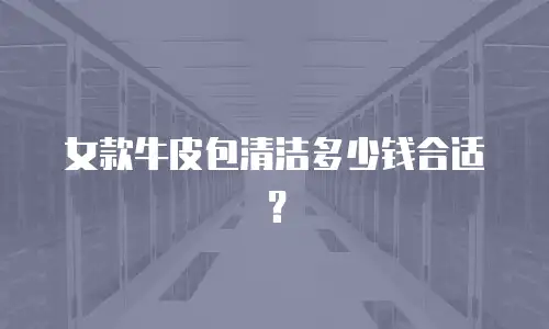 女款牛皮包清洁多少钱合适？