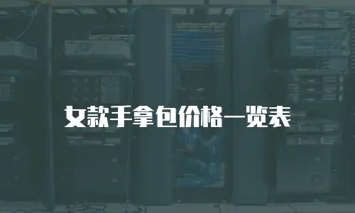 女款手拿包价格一览表