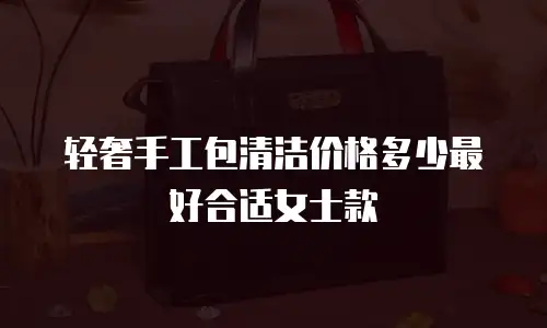 轻奢手工包清洁价格多少最好合适女士款