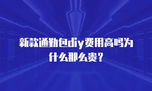 新款通勤包diy费用高吗为什么那么贵？