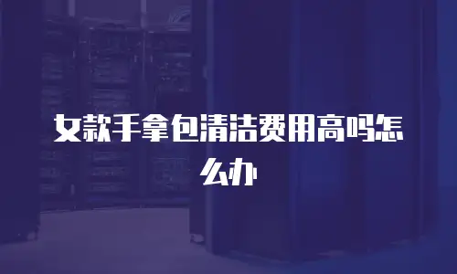 女款手拿包清洁费用高吗怎么办