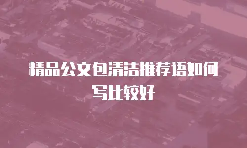 精品公文包清洁推荐语如何写比较好