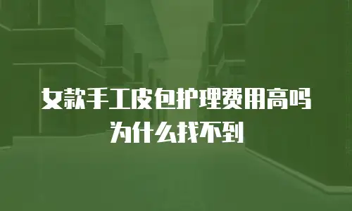 女款手工皮包护理费用高吗为什么找不到