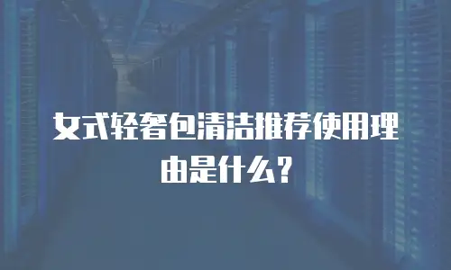 女式轻奢包清洁推荐使用理由是什么？