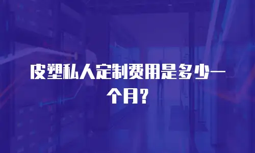 皮塑私人定制费用是多少一个月？