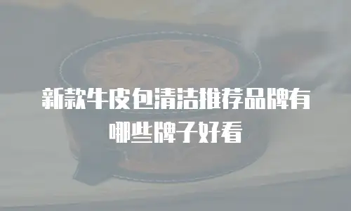 新款牛皮包清洁推荐品牌有哪些牌子好看