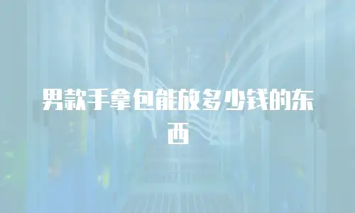 男款手拿包能放多少钱的东西