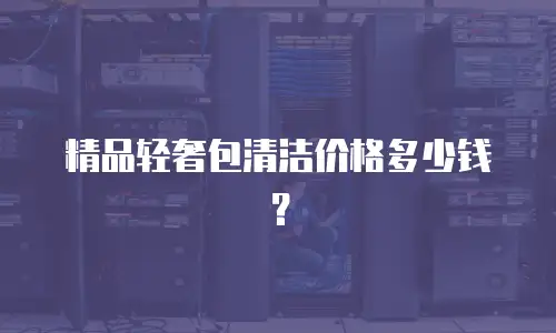 精品轻奢包清洁价格多少钱？