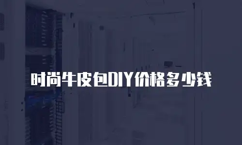 时尚牛皮包DIY价格多少钱