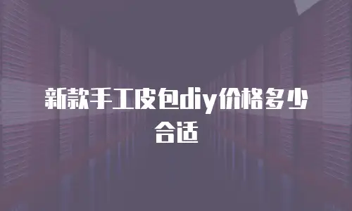 新款手工皮包diy价格多少合适