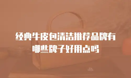 经典牛皮包清洁推荐品牌有哪些牌子好用点吗