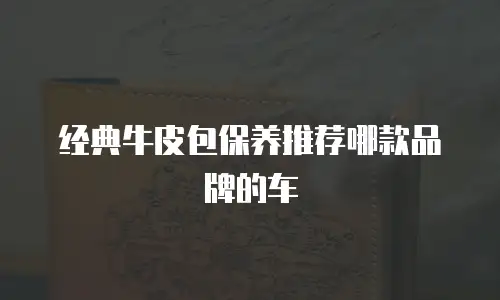 经典牛皮包保养推荐哪款品牌的车