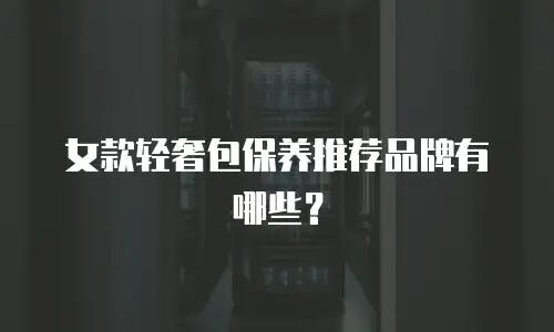 女款轻奢包保养推荐品牌有哪些？