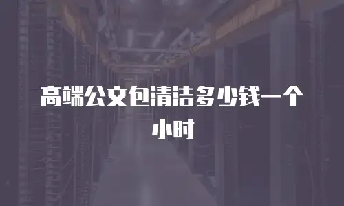 高端公文包清洁多少钱一个小时