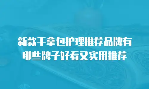 新款手拿包护理推荐品牌有哪些牌子好看又实用推荐