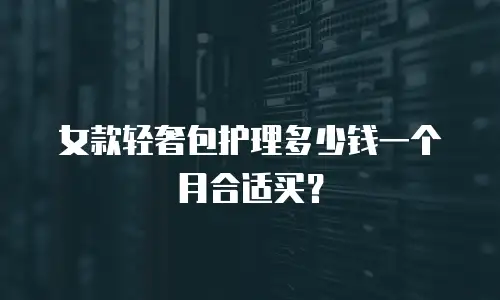 女款轻奢包护理多少钱一个月合适买？