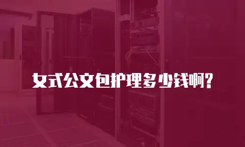 女式公文包护理多少钱啊?