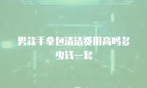 男款手拿包清洁费用高吗多少钱一套