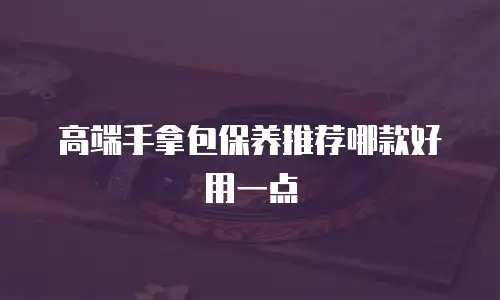 高端手拿包保养推荐哪款好用一点
