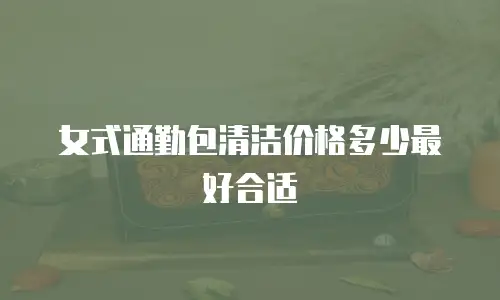 女式通勤包清洁价格多少最好合适