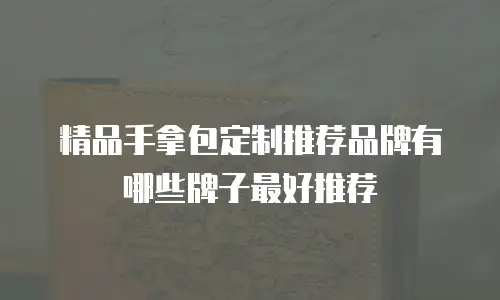 精品手拿包定制推荐品牌有哪些牌子最好推荐