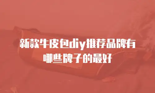 新款牛皮包diy推荐品牌有哪些牌子的最好