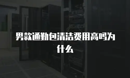 男款通勤包清洁费用高吗为什么
