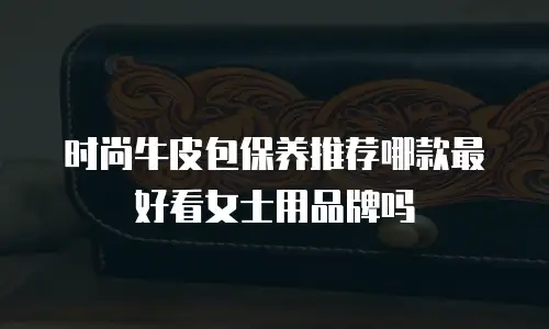 时尚牛皮包保养推荐哪款最好看女士用品牌吗