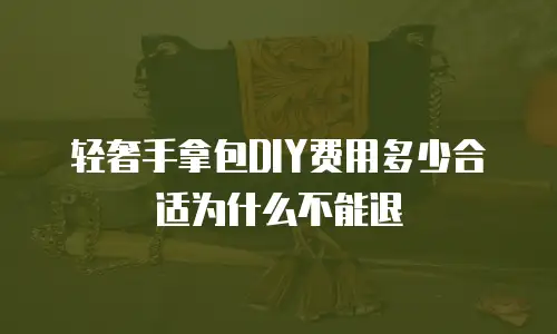 轻奢手拿包DIY费用多少合适为什么不能退