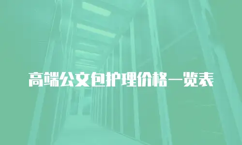 高端公文包护理价格一览表