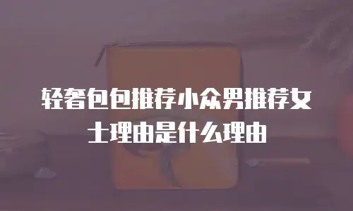 轻奢包包推荐小众男推荐女士理由是什么理由