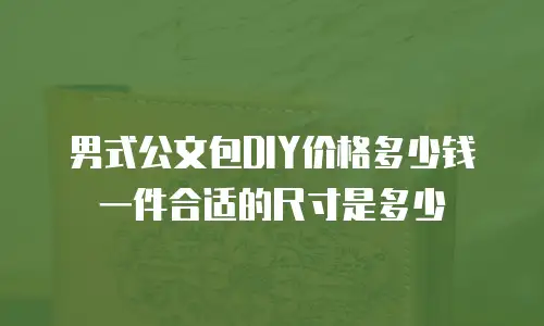 男式公文包DIY价格多少钱一件合适的尺寸是多少
