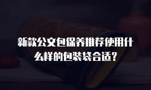 新款公文包保养推荐使用什么样的包装袋合适？