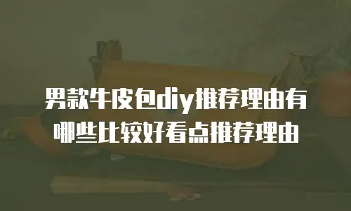 男款牛皮包diy推荐理由有哪些比较好看点推荐理由