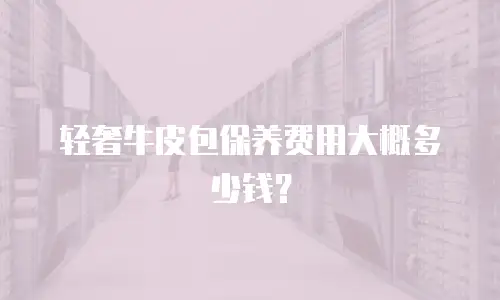 轻奢牛皮包保养费用大概多少钱？