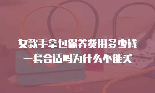 女款手拿包保养费用多少钱一套合适吗为什么不能买