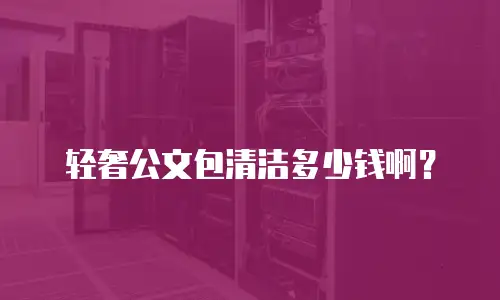 轻奢公文包清洁多少钱啊？