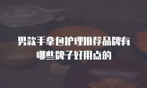 男款手拿包护理推荐品牌有哪些牌子好用点的